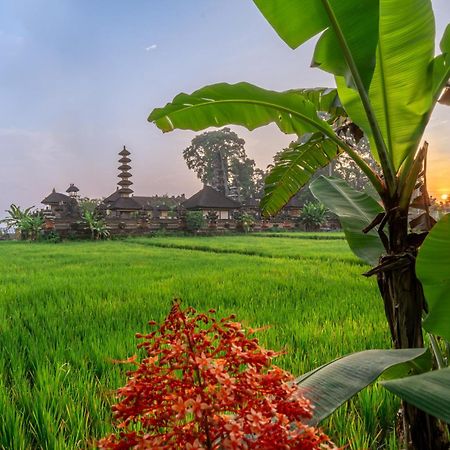 Niki - Serenity And Elegance - Villa In Ubud With Panoramic Temple Views Екстериор снимка