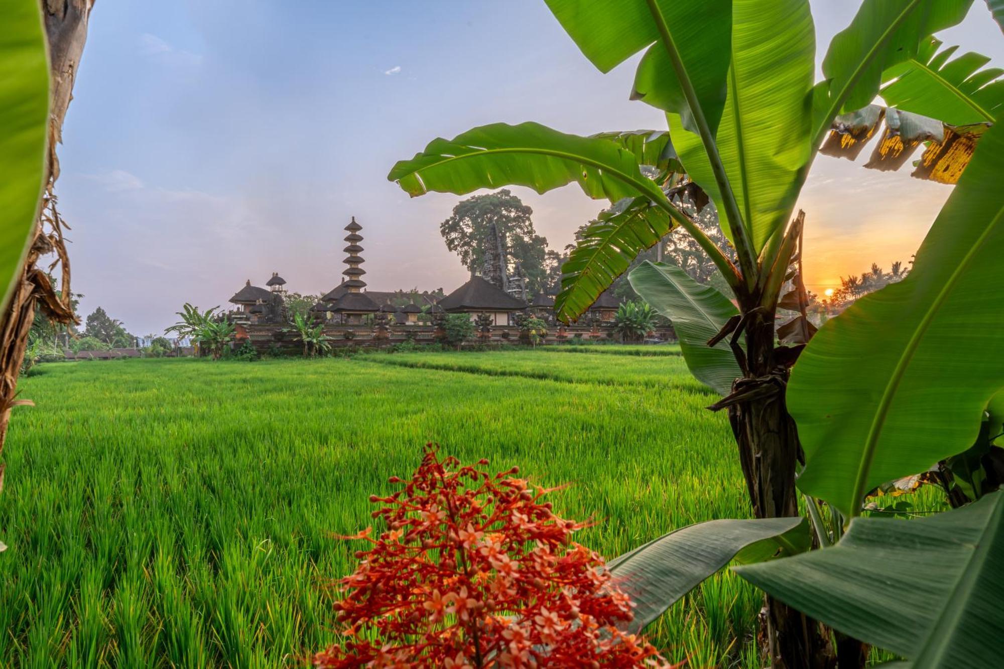 Niki - Serenity And Elegance - Villa In Ubud With Panoramic Temple Views Екстериор снимка